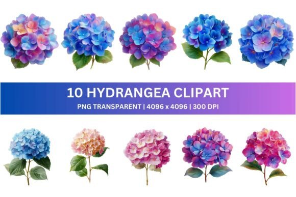 10 Watercolor Hydrangea Clipart for Vibrant Designs