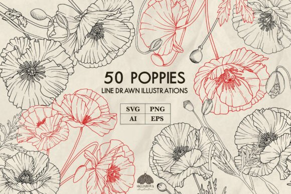 Hand-Drawn Poppies for Your Creative Projects