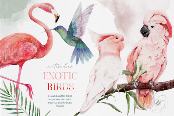 Vibrant Watercolor Tropical Birds: A Design Asset Guide